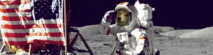 Місячна місія SpaceX Doge-1 ціна