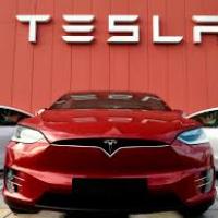 Кеті Вуд знову купує акції Tesla в 2024