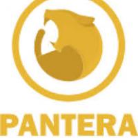 Крипто фірма Pantera втрачає співдиректора